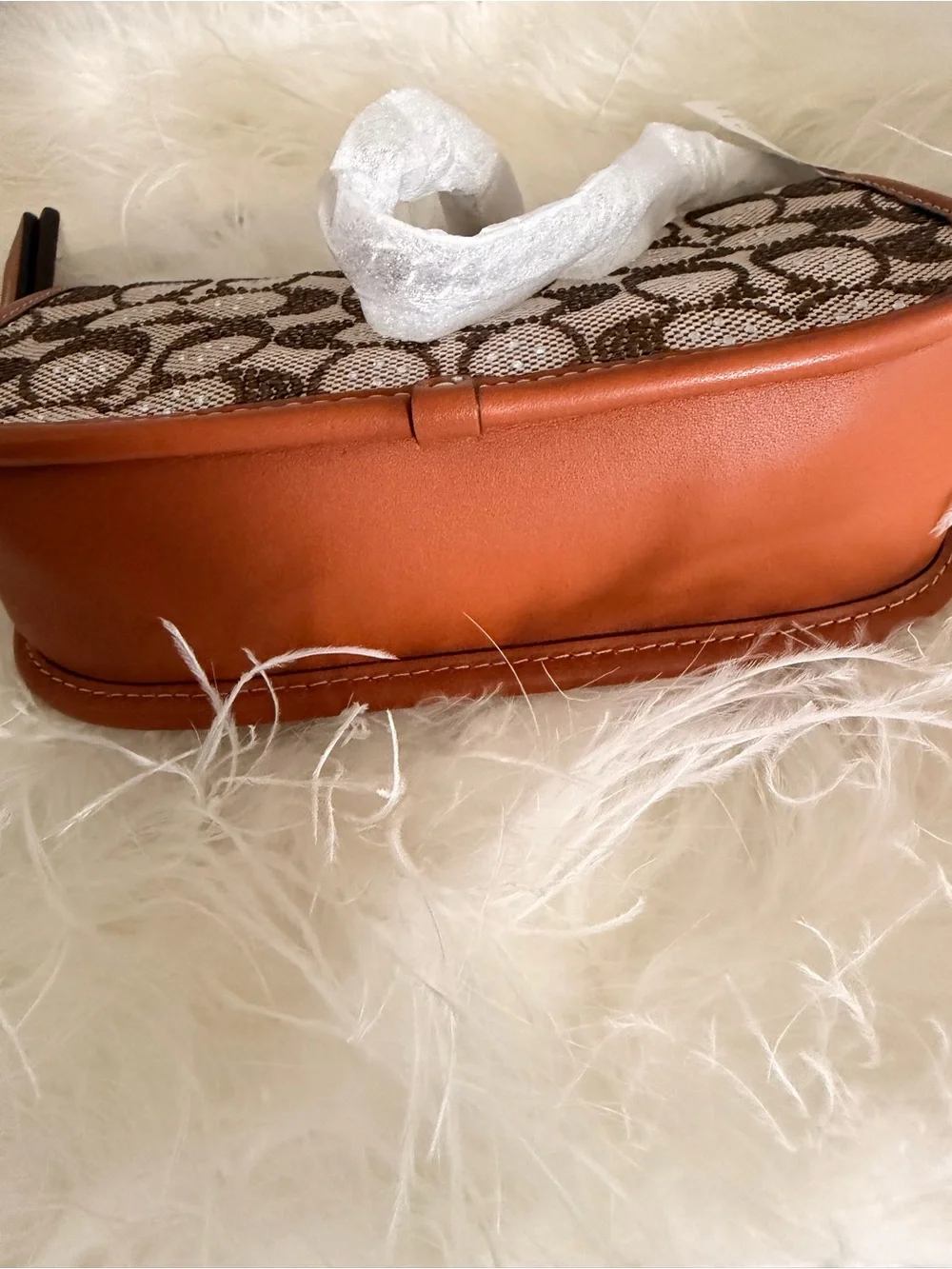 Coach Swinger 20 bag in crystal signature bag